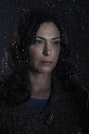 Michelle Forbes