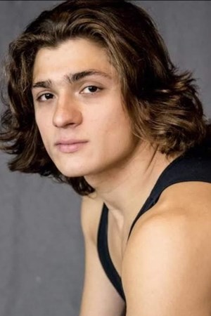Domenic Arduino