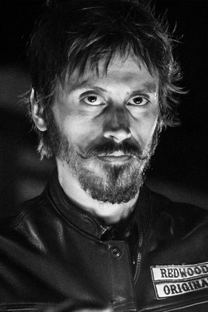 Niko Nicotera