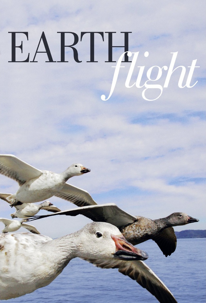 Poster Die fantastische Reise der Vögel