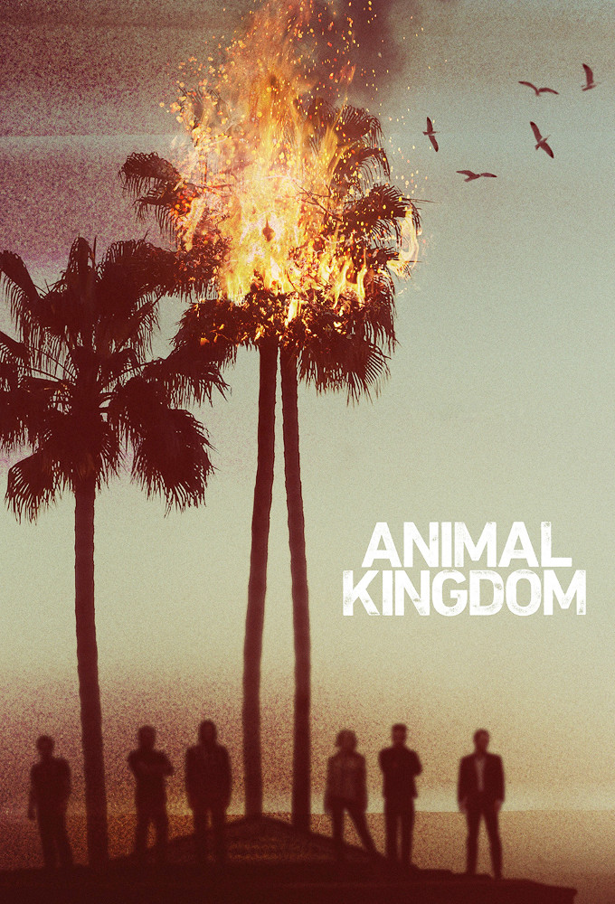 Poster Animal Kingdom