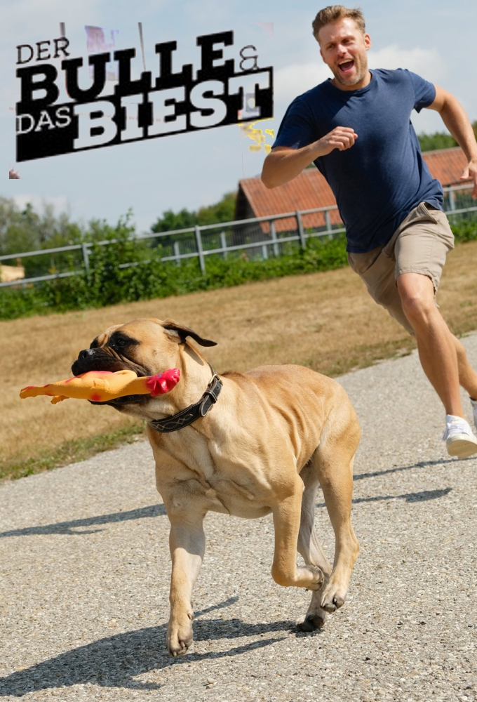 Poster Der Bulle und das Biest