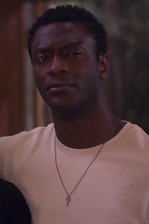 Aldis Hodge