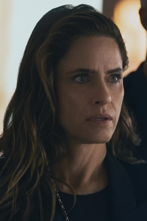 Amanda Peet