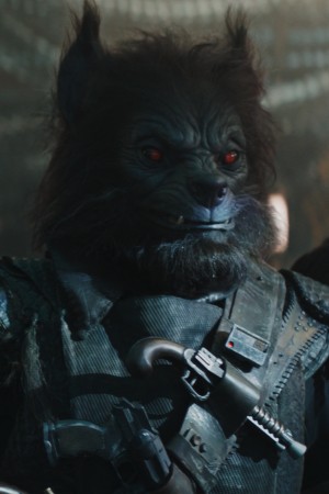 Fred Tatasciore